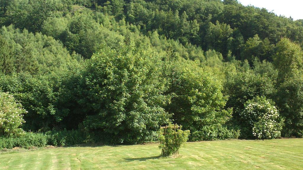 La Cle Des Champs Villa Bertogne Exteriör bild